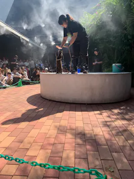 マクセル アクアパーク品川に投稿された画像（2023/9/28）