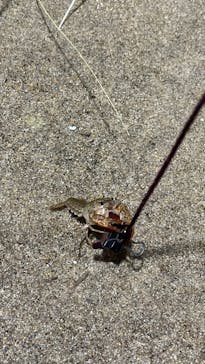 伊豆・三津シーパラダイスに投稿された画像（2023/9/28）