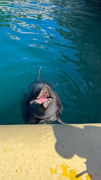 伊豆・三津シーパラダイスに投稿された画像（2023/9/28）