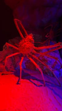 伊豆・三津シーパラダイスに投稿された画像（2023/9/28）