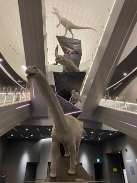 福井県立恐竜博物館に投稿された画像（2023/9/28）