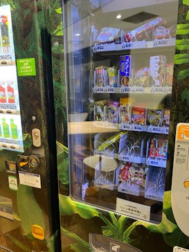 屋内・冒険の島 ドコドコに投稿された画像（2023/9/28）