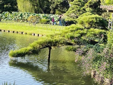 三溪園に投稿された画像（2023/9/28）