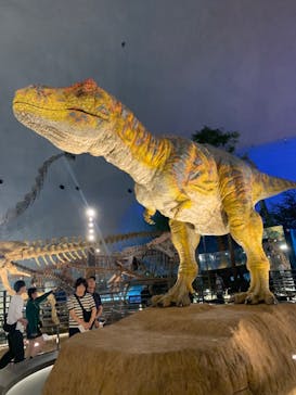 福井県立恐竜博物館に投稿された画像（2023/9/28）