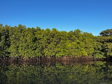 石垣島 ADVENTURE PiPi（イシガキジマアドベンチャーピピ）に投稿された画像（2023/9/28）