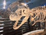 福井県立恐竜博物館に投稿された画像（2023/9/28）