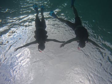 宮古島 ADVENTURE PiPi（ミヤコジマ アドベンチャー ピピ）に投稿された画像（2023/9/28）