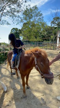 九十九島動植物園森きららに投稿された画像（2023/9/28）