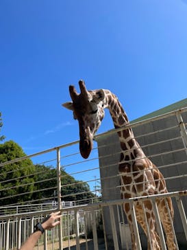 九十九島動植物園森きららに投稿された画像（2023/9/28）
