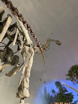 福井県立恐竜博物館に投稿された画像（2023/9/28）