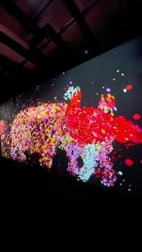 チームラボに投稿された画像（2023/9/28）