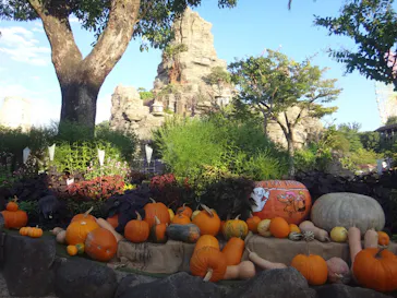 ひらかたパークに投稿された画像（2023/9/28）