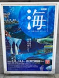 特別展「海　―生命のみなもと―」（国立科学博物館）に投稿された画像（2023/9/29）