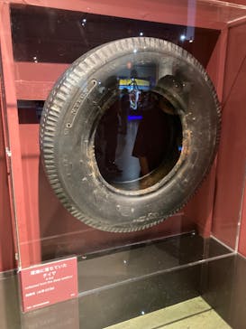 特別展「海　―生命のみなもと―」（国立科学博物館）に投稿された画像（2023/9/28）