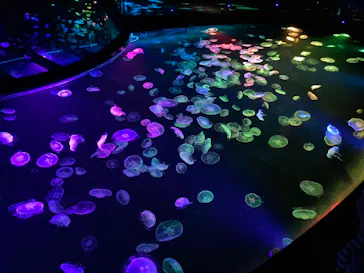 すみだ水族館に投稿された画像（2023/9/28）