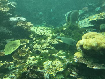 串本海中公園水族館に投稿された画像（2023/9/29）