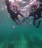 青の洞窟専門店　沖縄ダイビングショップ和に投稿された画像（2023/9/29）