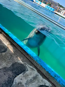 横浜・八景島シーパラダイスに投稿された画像（2023/9/29）