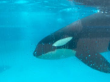 鴨川シーワールドに投稿された画像（2023/9/29）