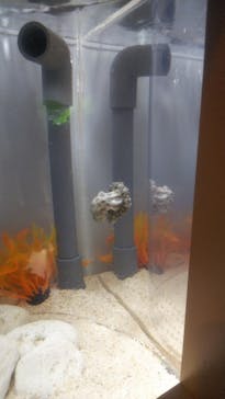 サンシャイン水族館に投稿された画像（2023/9/29）