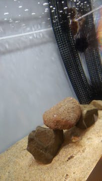 サンシャイン水族館に投稿された画像（2023/9/29）