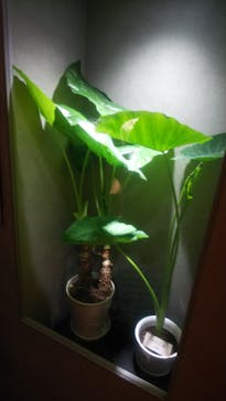 サンシャイン水族館に投稿された画像（2023/9/29）