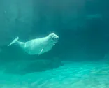 名古屋港水族館に投稿された画像（2023/9/29）