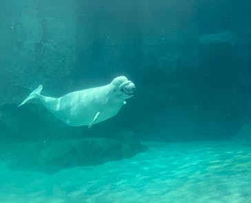 名古屋港水族館に投稿された画像（2023/9/29）
