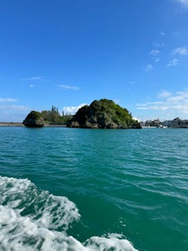 青の洞窟専門店　沖縄ダイビングショップ和に投稿された画像（2023/9/29）