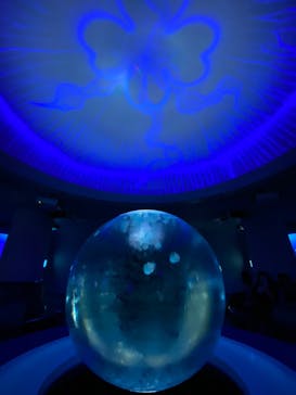 新江ノ島水族館に投稿された画像（2023/9/29）