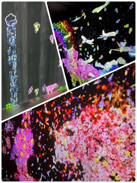 チームラボに投稿された画像（2023/9/29）