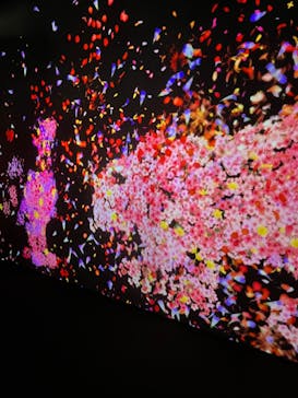 チームラボに投稿された画像（2023/9/29）