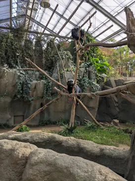 神戸どうぶつ王国に投稿された画像（2023/9/29）