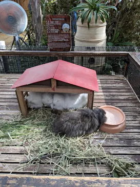 神戸どうぶつ王国に投稿された画像（2023/9/29）