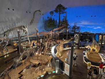 福井県立恐竜博物館に投稿された画像（2023/9/29）