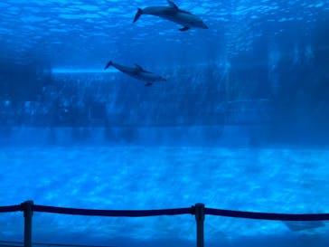 名古屋港水族館に投稿された画像（2023/9/29）