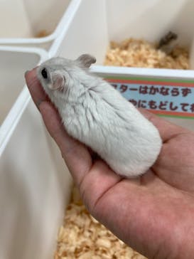 アソビュー！ポイントに投稿された画像（2023/9/29）