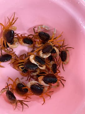 アソビュー！ポイントに投稿された画像（2023/9/29）