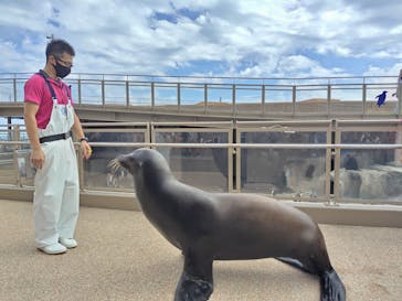 アクアワールド茨城県大洗水族館に投稿された画像（2023/9/29）