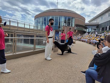 アクアワールド茨城県大洗水族館に投稿された画像（2023/9/29）