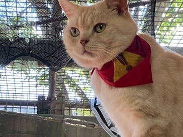 那須どうぶつ王国に投稿された画像（2023/9/29）