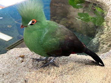 那須どうぶつ王国に投稿された画像（2023/9/29）