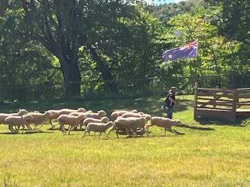 那須どうぶつ王国に投稿された画像（2023/9/29）