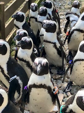 那須どうぶつ王国に投稿された画像（2023/9/29）