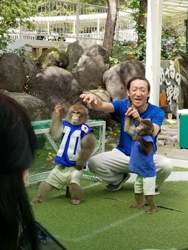 おさるランド＆アニタウン　日光さる軍団劇場に投稿された画像（2023/9/29）