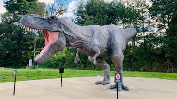 福井県立恐竜博物館に投稿された画像（2023/9/29）