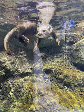 マクセル アクアパーク品川に投稿された画像（2023/9/29）