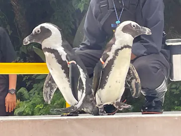 マクセル アクアパーク品川に投稿された画像（2023/9/29）