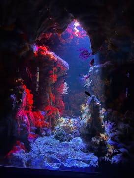 サンシャイン水族館に投稿された画像（2023/9/29）