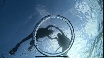 青の洞窟専門店　沖縄ダイビングショップ和に投稿された画像（2023/9/29）